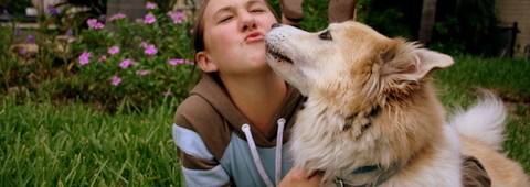 img_9268 img_9268