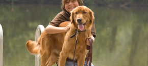 dog breeds for families with children