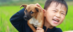 get a family dog