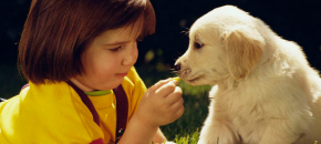 children to get a new puppy