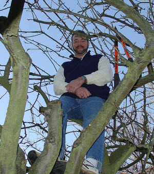 Winter Pruning