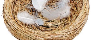 how do I deal with empty nest sydrome
