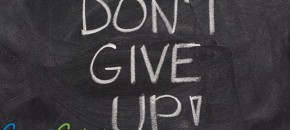 people give up weight loss