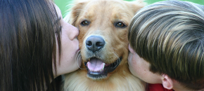 Choosing a pet for your child
