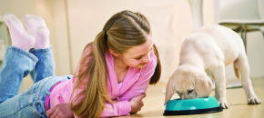 Choosing the right pet for your family