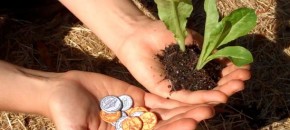 giving coins as gifts