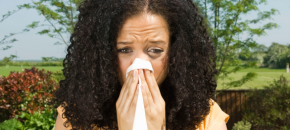 Home Remedies for Allergies