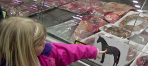 Is horse meat good for you