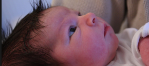new addition to family