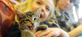 teaching kids how to care for pets