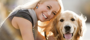 How to train your dog for new owners