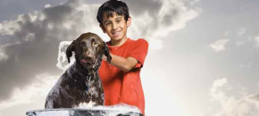 happy pets and clean home